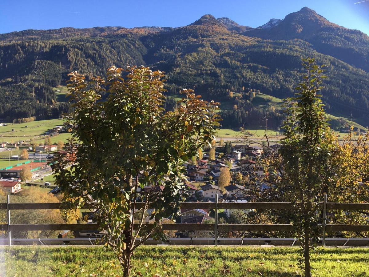 Apartament Trattner *